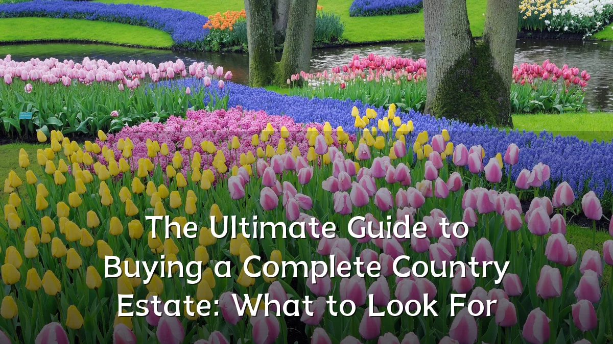 The Ultimate Guide to Buying a Complete Country Estate: What to Look For
